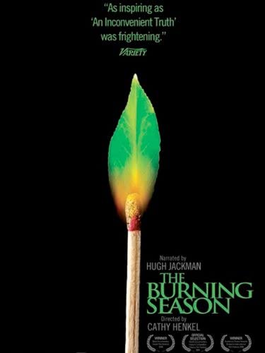 Burning Season Sandra Cook | AIE Film School
